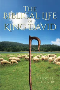 The Biblical Life of King David_cover