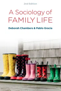 A Sociology of Family Life_cover