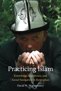 Practicing Islam_cover