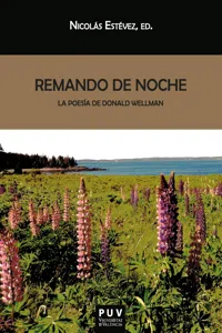 Remando de noche_cover