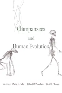Chimpanzees and Human Evolution_cover