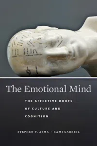 The Emotional Mind_cover