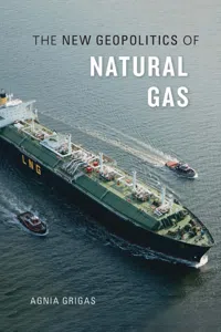 The New Geopolitics of Natural Gas_cover