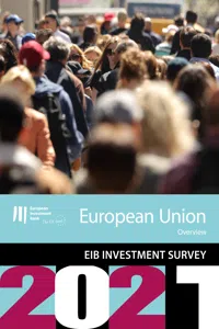 EIB Investment Survey 2021 - European Union overview_cover