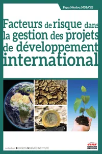 Facteurs de risque dans la gestion des projets de développement international_cover