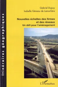 Nouvelles échelles des firmes et des réseaux_cover