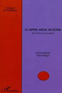 Le capital social en action_cover