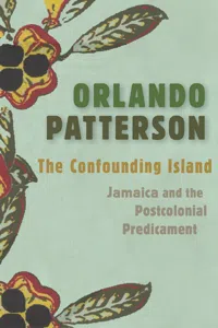 The Confounding Island_cover