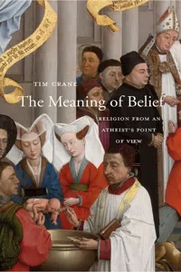 The Meaning of Belief_cover