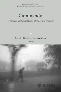 CAMINANDO_cover