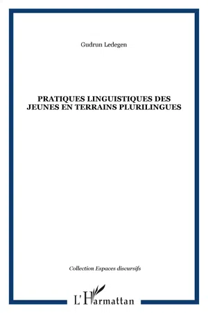 Pratiques linguistiques des jeunes en terrains plurilingues