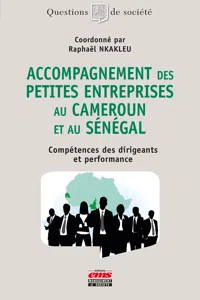 Accompagnement des petites entreprises au Cameroun et au Sénégal_cover