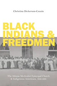 Black Indians and Freedmen_cover