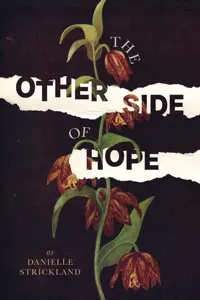 The Other Side of Hope_cover