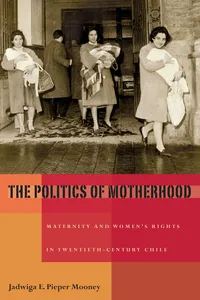 The Politics of Motherhood_cover