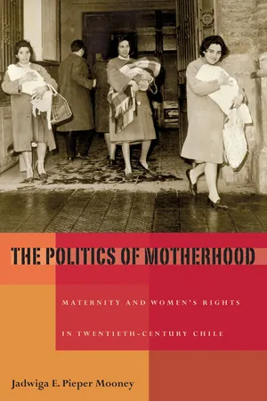 The Politics of Motherhood