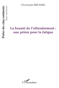 La beauté de l'effondrement_cover