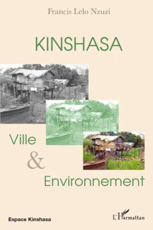 Kinshasa, ville et environnement