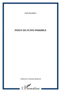 Point de fuite possible_cover