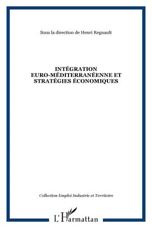 Intégration euro-méditerranéenne et stratégies économiques