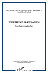 Economie des organisations_cover