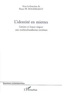 L'identité en miettes_cover