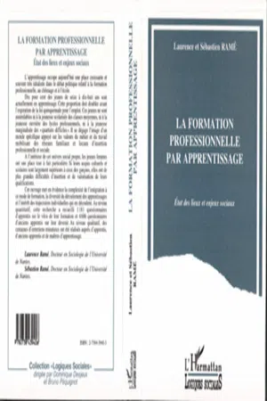 La formation professionnelle par apprentissage