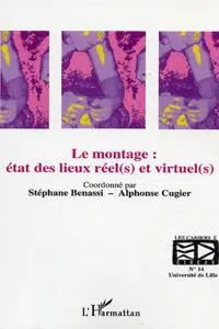 Le montage : état des lieux rée et virtue_cover