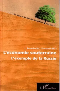 L'économie souterraine_cover