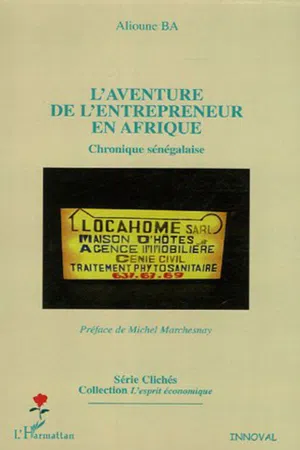 L'aventure de l'entrepreneur en Afrique