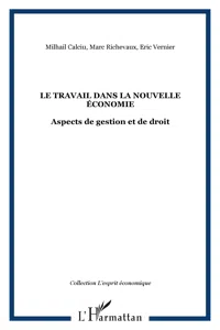 LE TRAVAIL DANS LA NOUVELLE ÉCONOMIE_cover