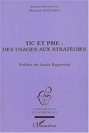 TIC et PME : des usages aux stratégies