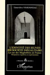 IDENTITÉ DES JEUNES EN SOCIÉTÉ INÉGALITAIRE_cover