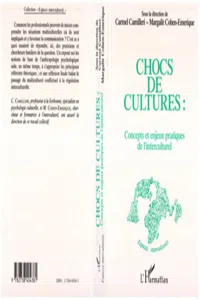 Chocs de cultures, concepts et enjeux pratiques de l'interculturel_cover