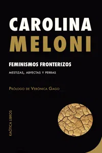 Feminismos fronterizos_cover