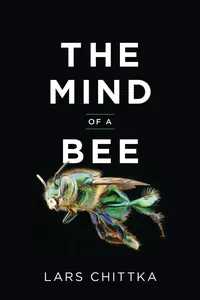 The Mind of a Bee_cover
