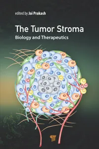 The Tumor Stroma_cover