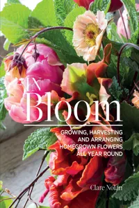 In Bloom_cover