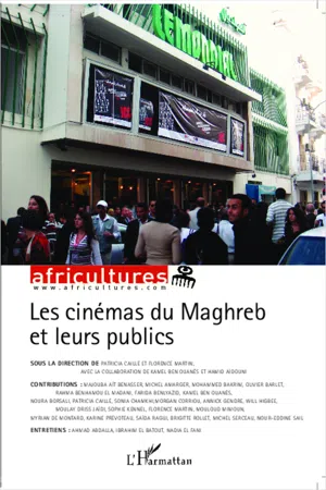 Les cinémas du Maghreb et leurs publics