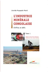 L'industrie minérale congolaise_cover