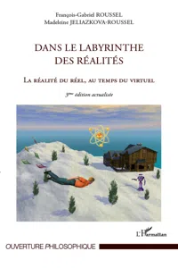 Dans le labyrinthe des réalités_cover