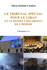 Le tribunal spécial pour le Liban et le respect des droits de l'homme_cover