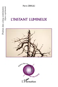 L'instant lumineux_cover