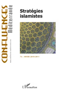 Stratégies islamistes_cover