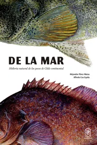 De la mar_cover