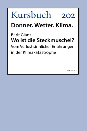 Wo ist die Steckmuschel?