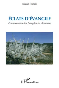 Eclats d'Evangile_cover