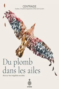 Du plomb dans les ailes_cover