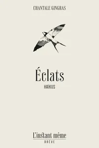 Éclats_cover