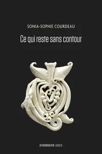 Ce qui reste sans contour_cover